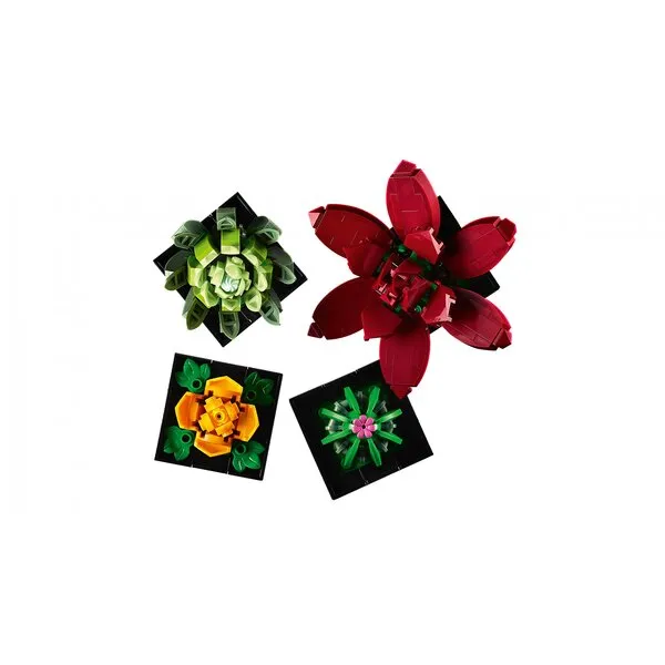 Icons 10309 Суккуленты