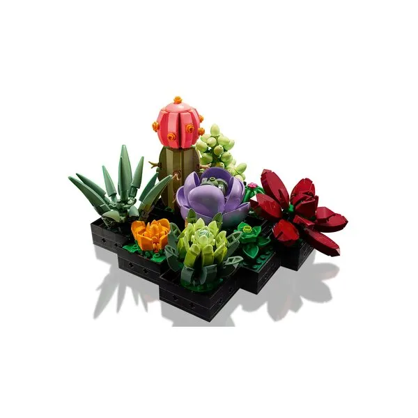 Icons 10309 Суккуленты