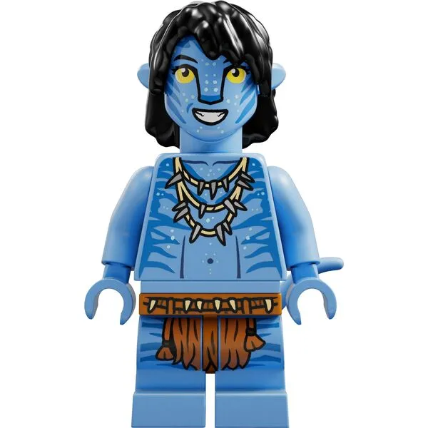 Avatar 75575 Илу Дискавери