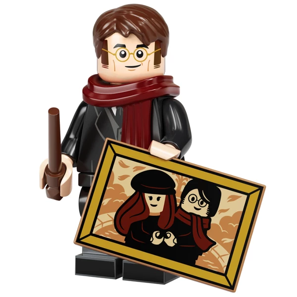 Minifigures 71028-8 Джеймс Поттер