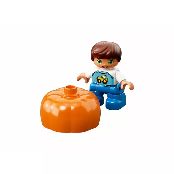 DUPLO 10867 Фермерский рынок