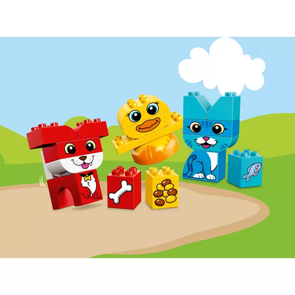 DUPLO 10858 Мои первые домашние животные