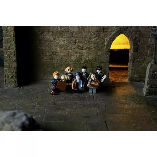 Minifigures 71022 Гарри Поттер и Фантастические твари