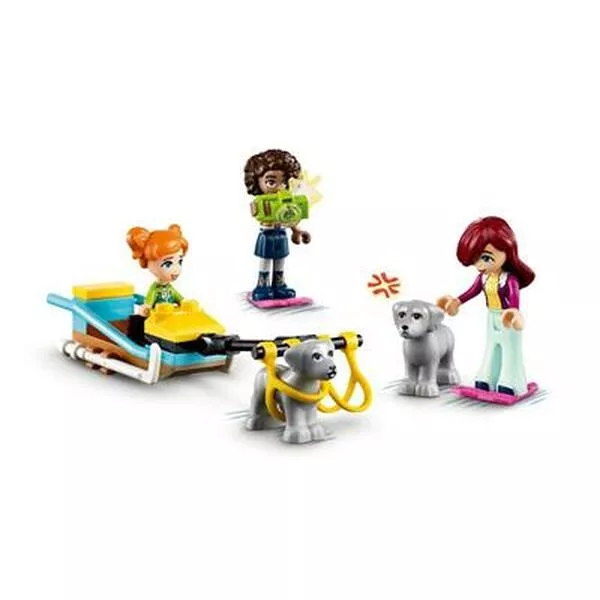 Friends 41760 Igloo Holiday