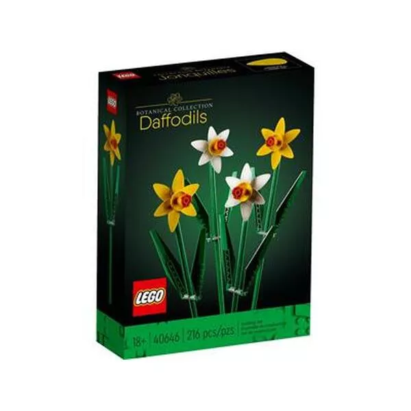 Icons 40646 Daffodils