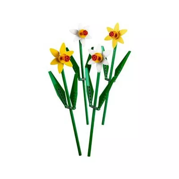 Icons 40646 Daffodils