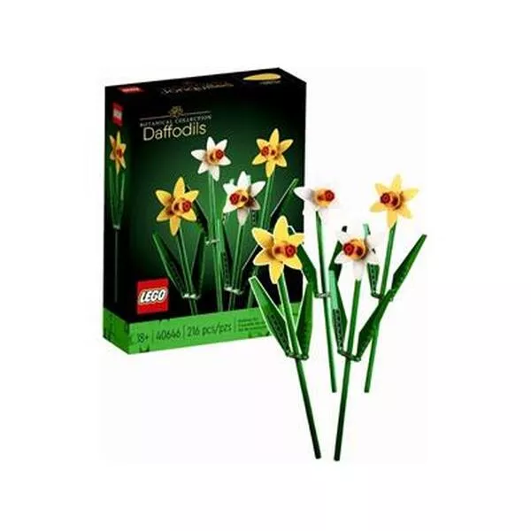 Icons 40646 Daffodils