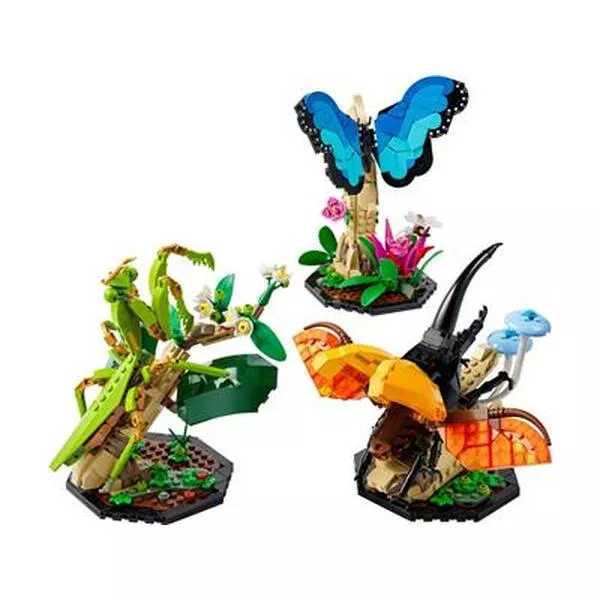 Ideas 21342 Insects