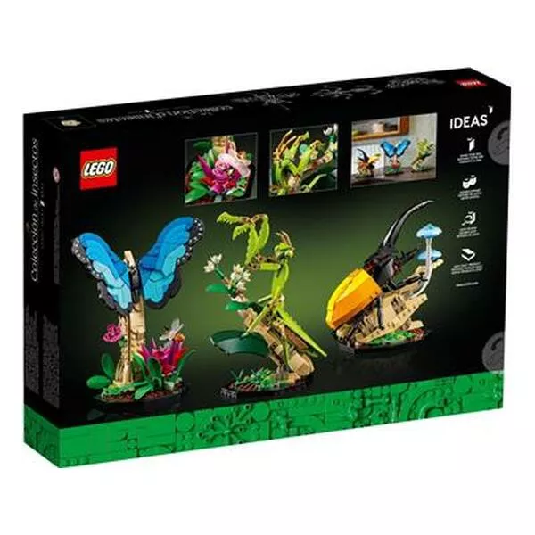 Ideas 21342 Insects