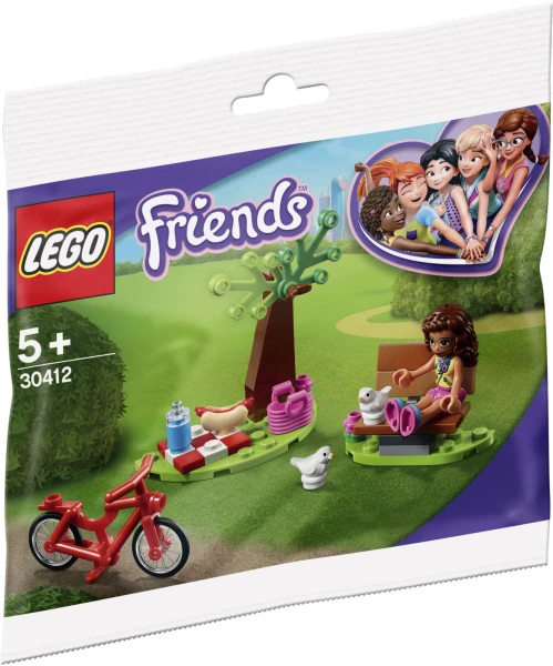 Friends 30412 Пикник в парке