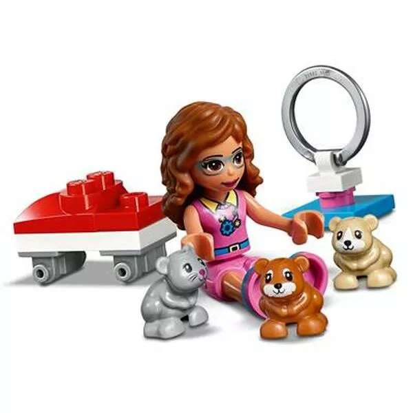 Friends 41383 Игровая площадка для хомячка Оливии