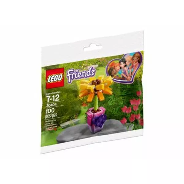 Friends 30404 Цветок дружбы