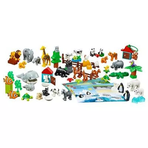 Education 45029 Animals