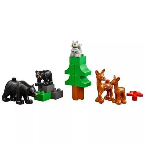 Education 45029 Animals