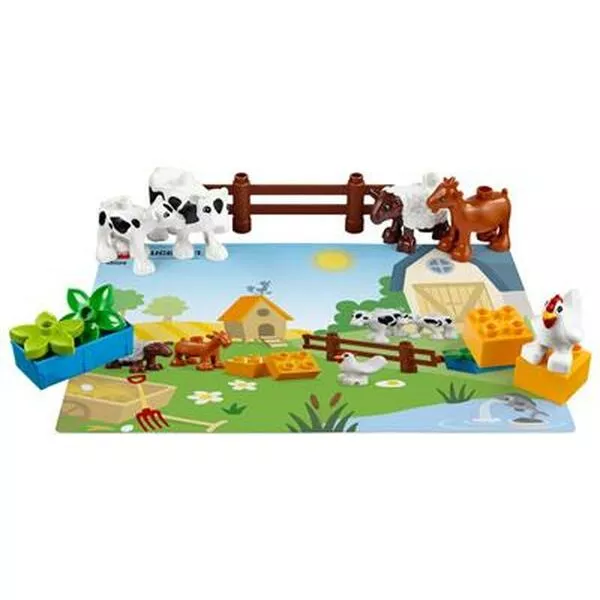 Education 45029 Animals