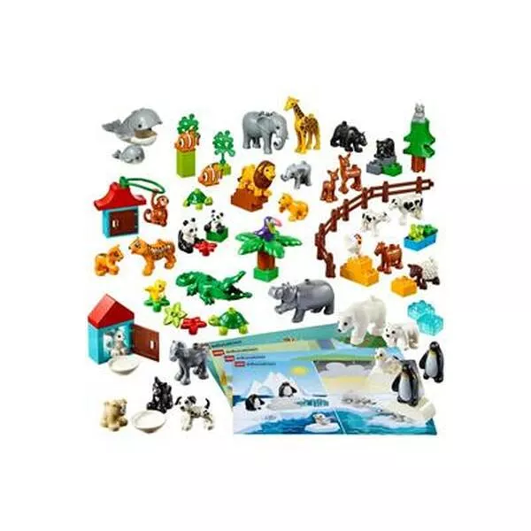 Education 45029 Animals