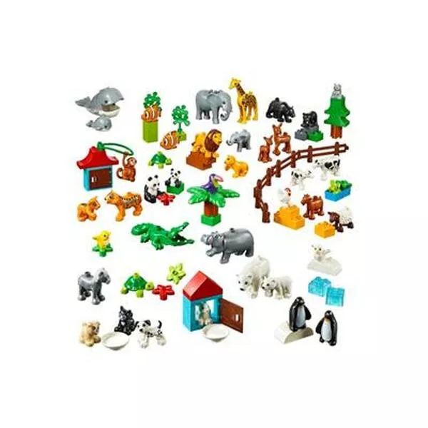 Education 45029 Animals