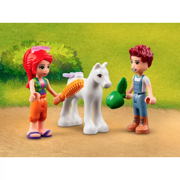Friends 41696 Конюшня для мытья пони