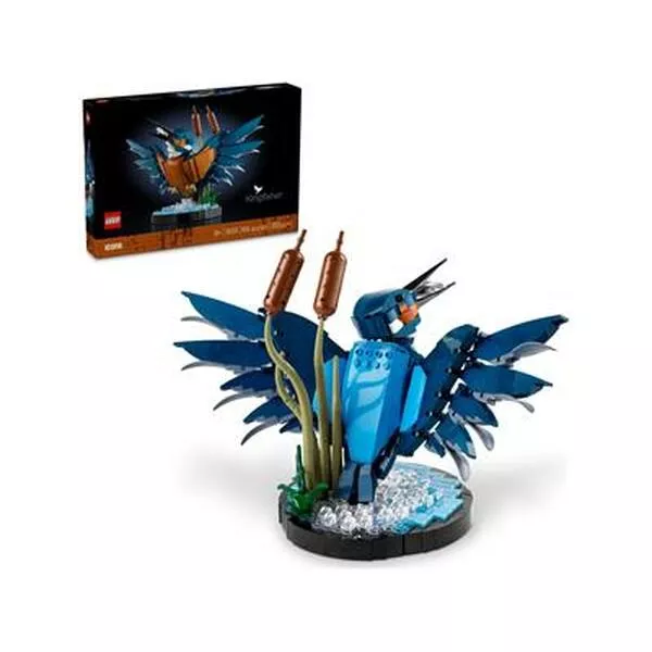 Icons 10331 Kingfisher