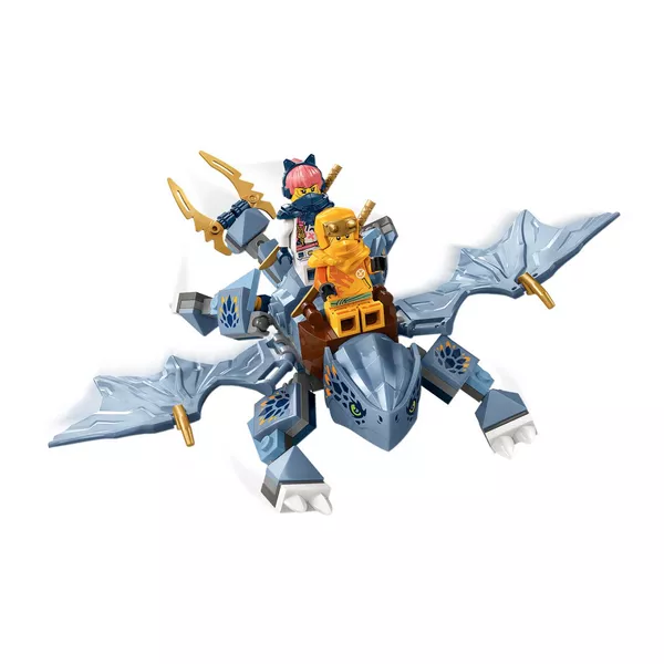 NINJAGO 71810 Молодой дракон Райюa