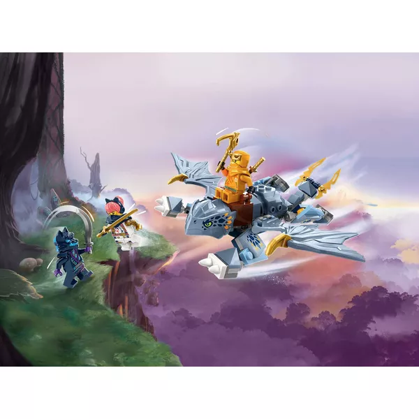 NINJAGO 71810 Молодой дракон Райюa
