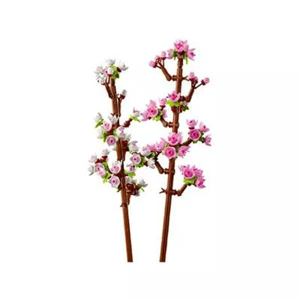 Icons 40725 Cherry Blossoms