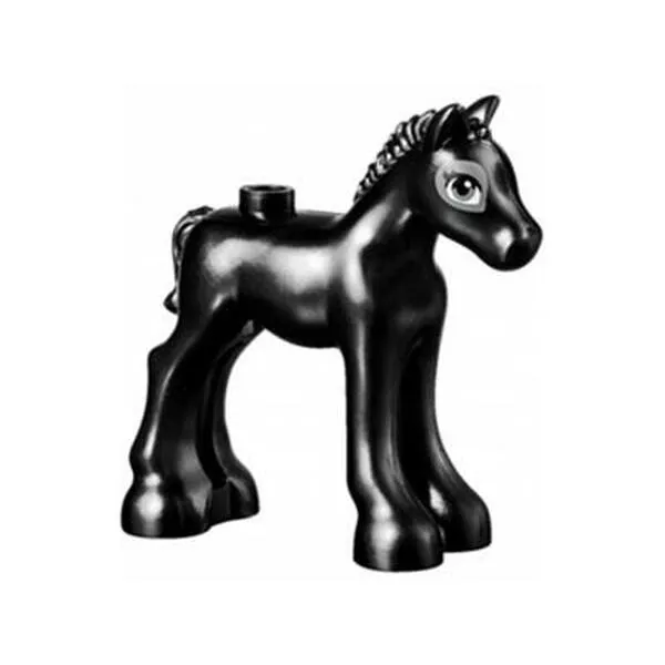 Friends 471904 Show Jump