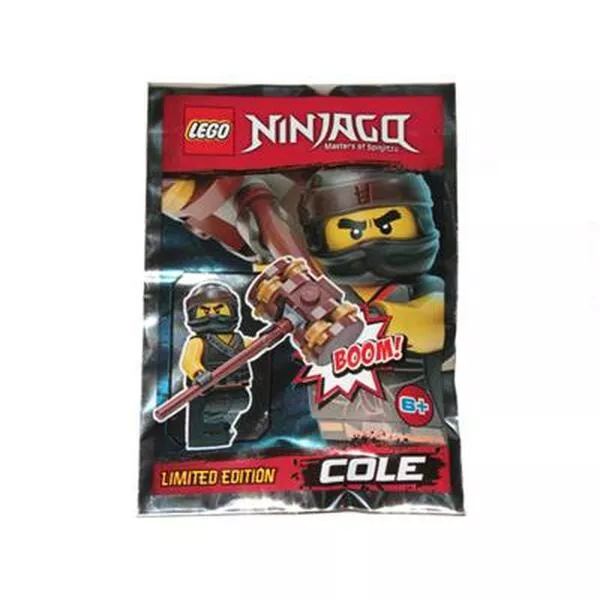 NINJAGO 891839 Cole