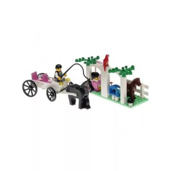 Town 6404 Carriage Ride