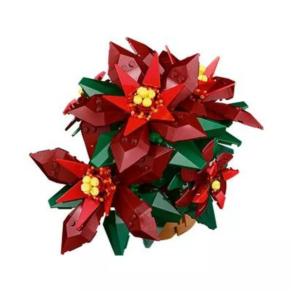 Icons 10370 Poinsettia
