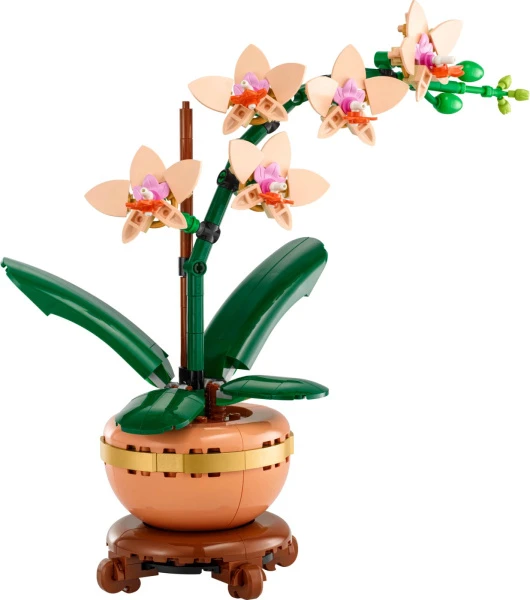 Botanicals 10343 Мини Орхидея