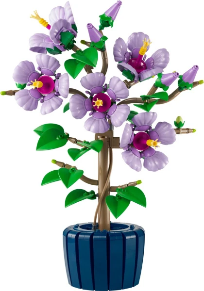 Botanicals 10372 Гибискус