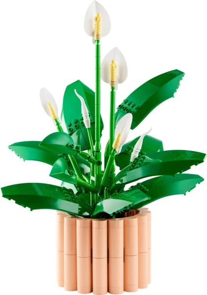 Botanicals 11504 Спатифиллум