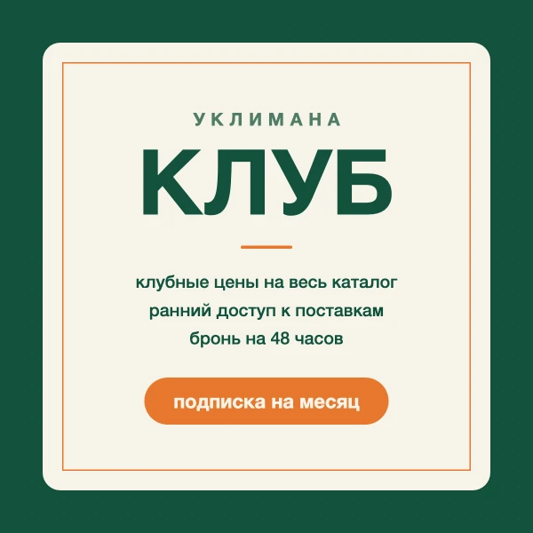 Клуб s001 Подписка в Клуб