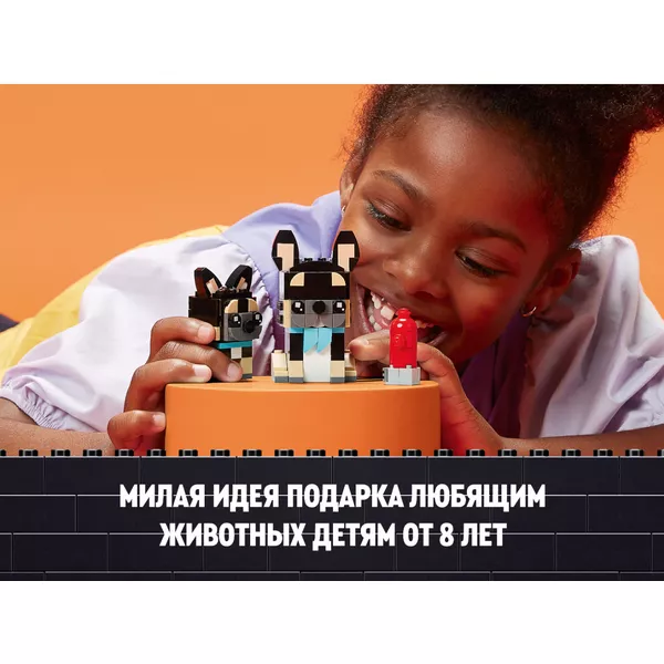 BrickHeadz 40544 Французский бульдог (Фото 13)