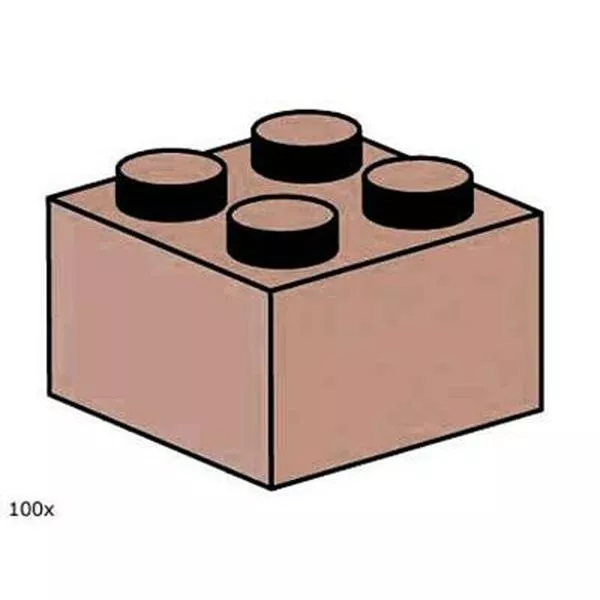 Bulk Bricks 10004 2x2 Sand Red Bricks
