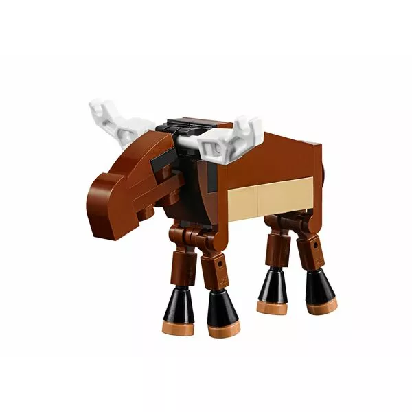 Creator 31048 Домик на берегу озера (Фото 4)