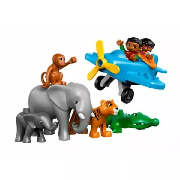 DUPLO 10804 Вокруг света: Азия (Фото 4)