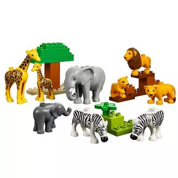 Education 45012 Дикие животные (Фото 3)