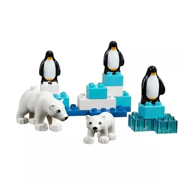 Education 45012 Дикие животные