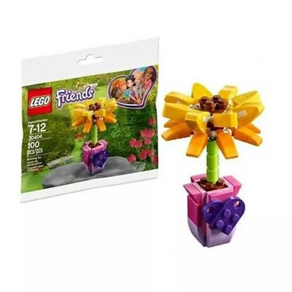 Friends 30404 Цветок дружбы (Фото 3)