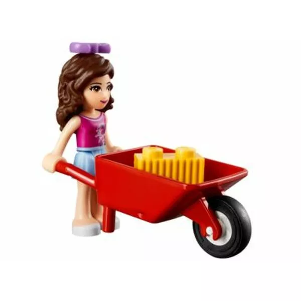 Friends 41003 Маленькая лошадка Оливии (Фото 4)