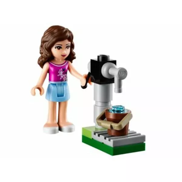 Friends 41003 Маленькая лошадка Оливии (Фото 3)