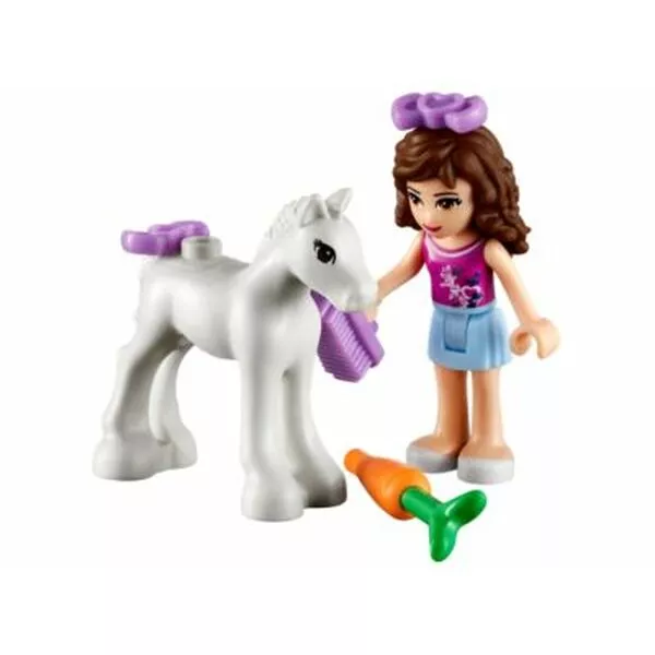 Friends 41003 Маленькая лошадка Оливии (Фото 2)