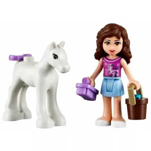 Friends 41003 Маленькая лошадка Оливии (Фото 5)