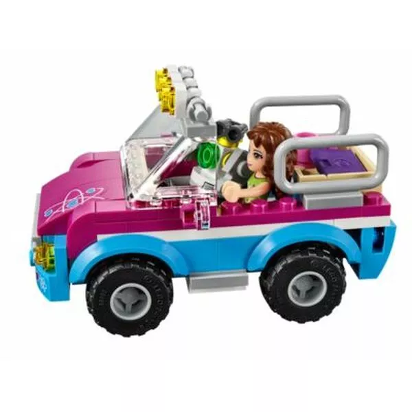 Friends 41116 Звездное небо Оливии (Фото 3)