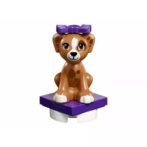 Friends 41302 Выставка щенков: Салон красоты (Фото 4)