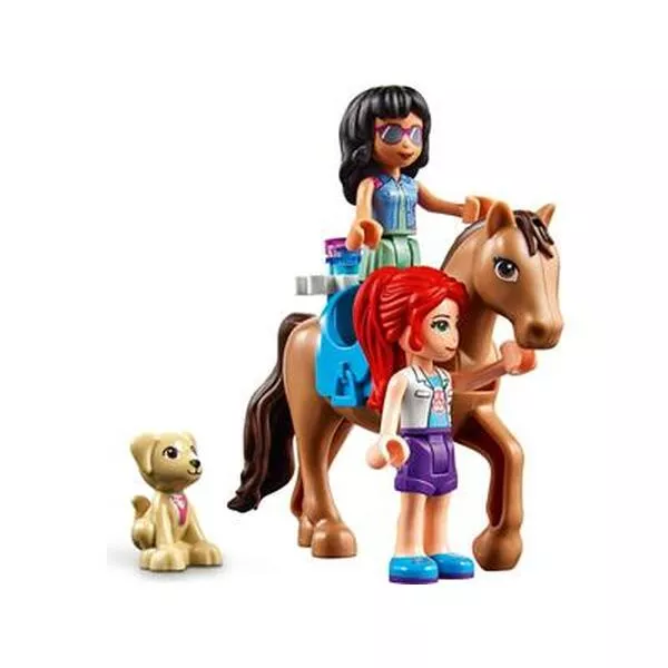 Friends 41446 Ветеринарная клиника Хартлейк-Сити (Фото 4)