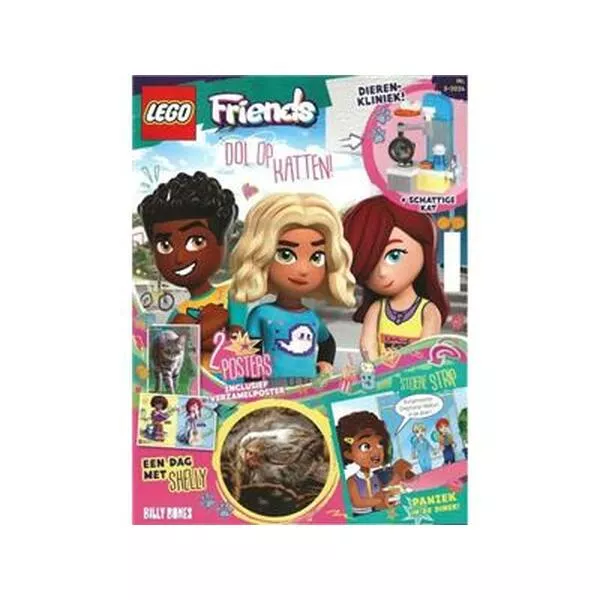 Friends 562403 Kitten at the Vets