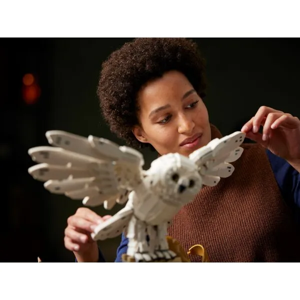 Harry Potter 76391 Символы Хогвартса: коллекционное издание (Фото 5)